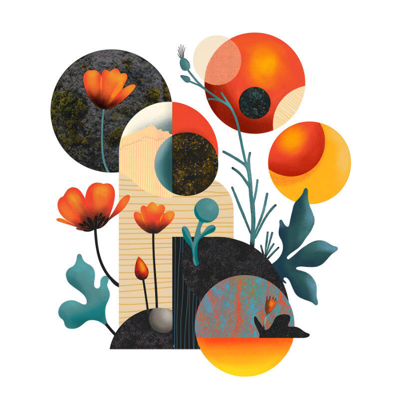 Floral Geometry
