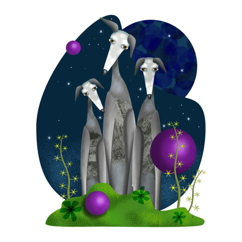 greyhounds and stars by pladypooz